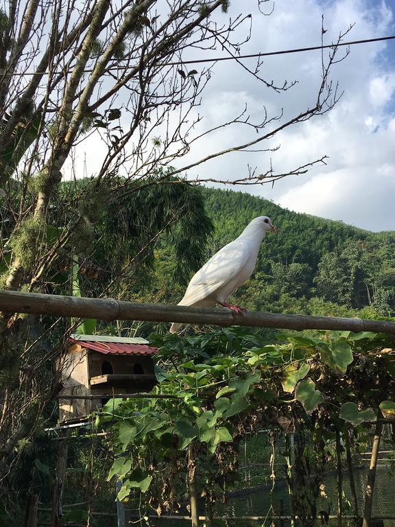 Cau May Homestay 사파 외부 사진